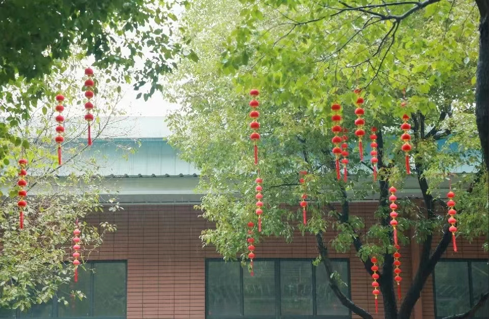 除夕夜,团圆年,美好的祝福送给你!